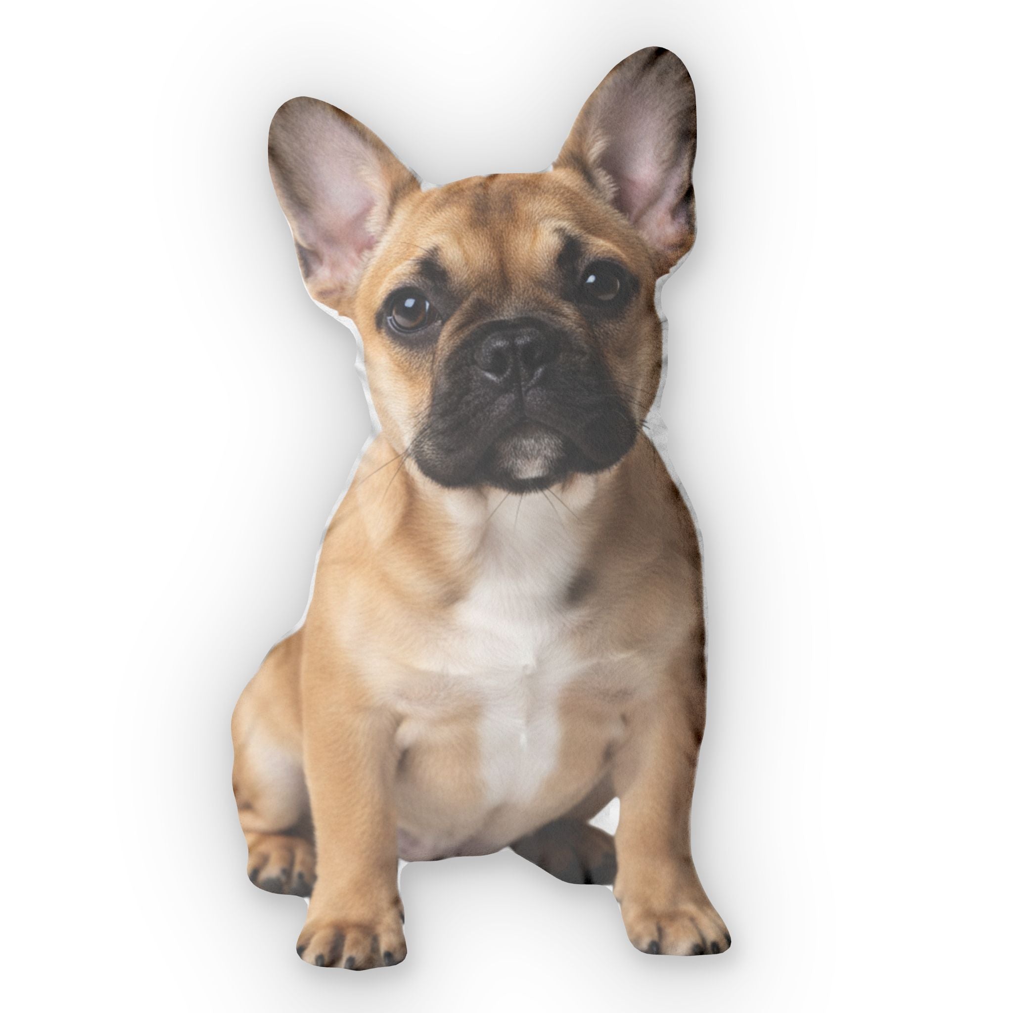 The FureverNear™ Custom Pet Pillow