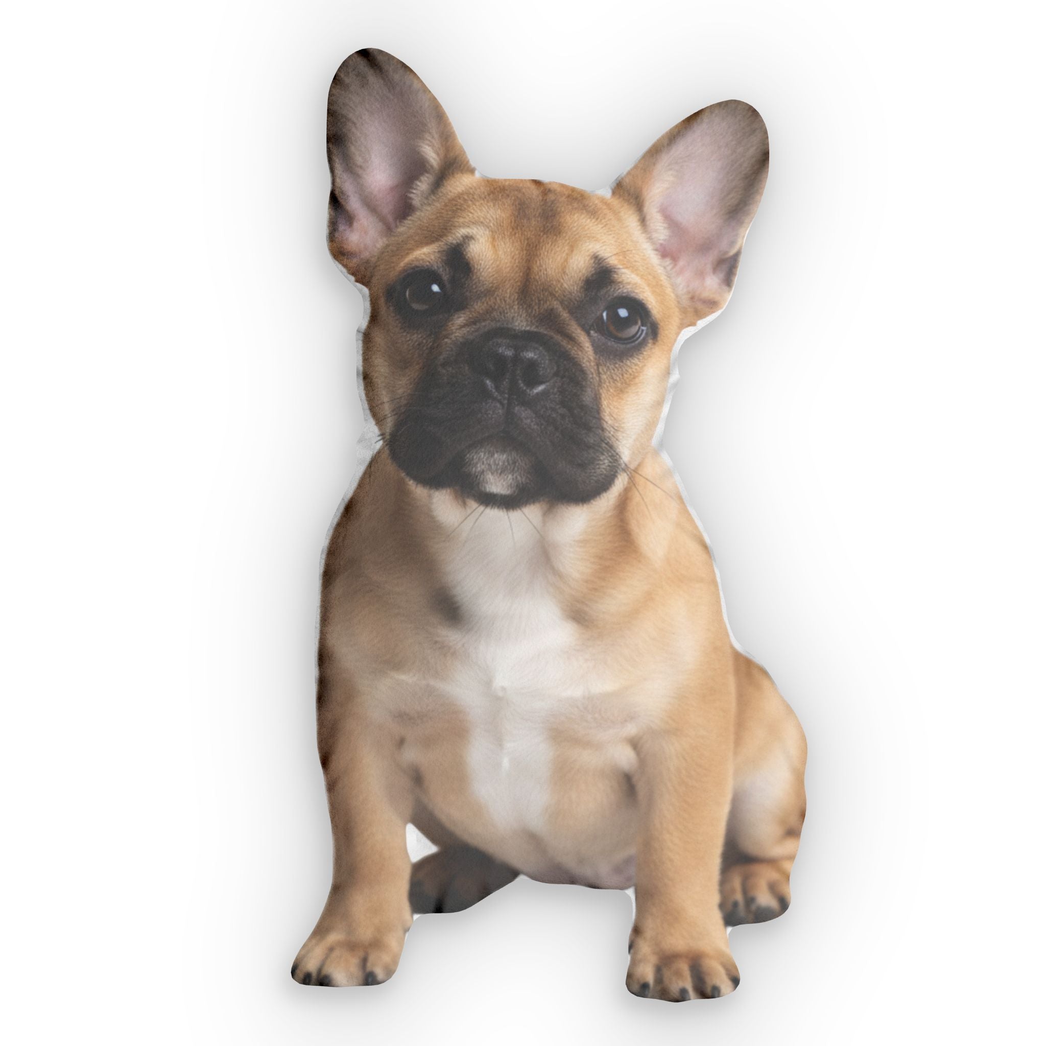 The FureverNear™ Custom Pet Pillow